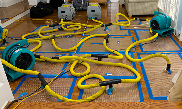 Professional Crawl Space Water Removal technician working in West Elkton, OH
